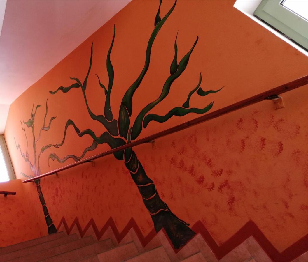 סאל ריי B&B Salinas Boa Vista Wifi Free מראה חיצוני תמונה